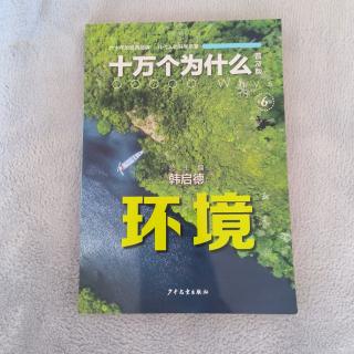 《十万个为什么 环境》自然资源与能源-9