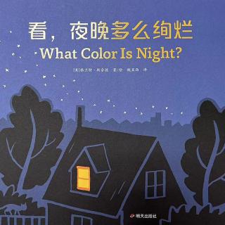 看，夜晚多么绚烂