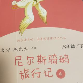 尼尔斯骑鹅旅行记