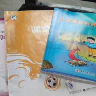 236阅读空间.小学语文补充阅读.课堂笔记。