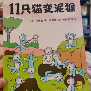 11只猫变泥猴