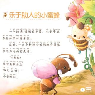 乐于助人的小蜜蜂🐝