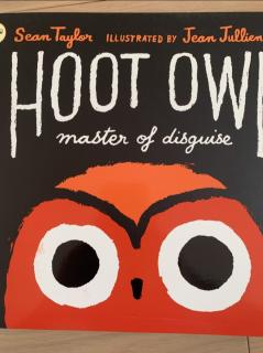 英文绘本Hoot Owl master of disguise伪装大师猫头鹰