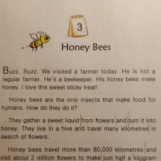 Angela 20230220 May Honey bees 3