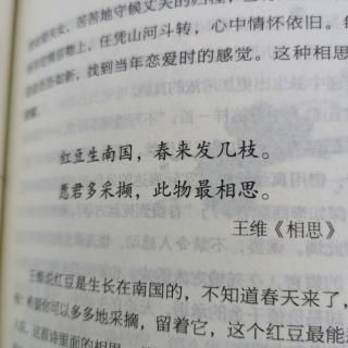 相思   王维