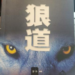 3.1、勇敢是🐺的血性