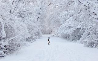 杨玉能 ‖ 渴望着一场新年的大雪弥漫 朗诵: 苡子