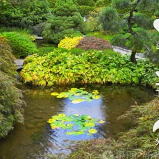 莲花池记(程庚伦)