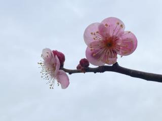 《春雨》刘建平