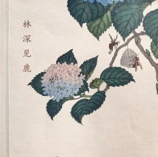 大林寺桃花