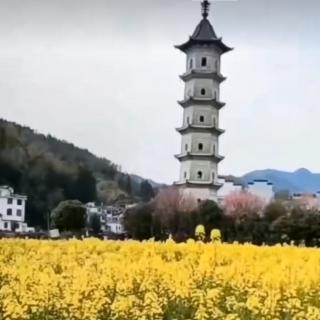 《金龙禅寺》洛夫＆郝雁妙音