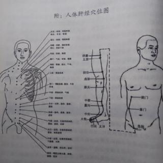 肝经上的太冲穴一最值得人心生敬畏的穴位