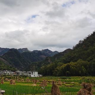 我的草原（节选）碑林路人  朗读 徐公