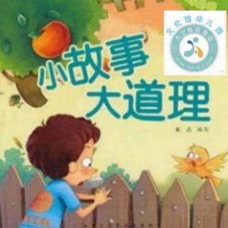 《骄傲的小孔雀》