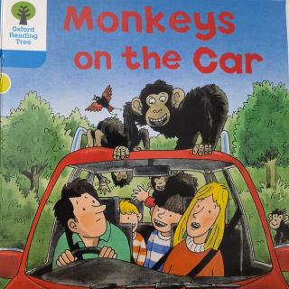 Aiden_Monkeys on the car3_20.24