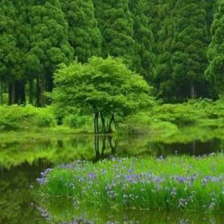 烟雨江南