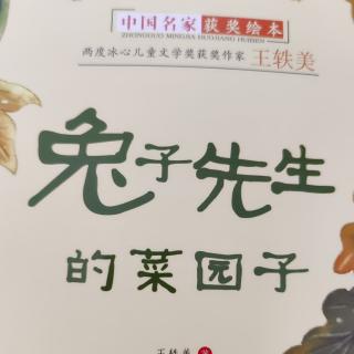 兔子先生的菜园子