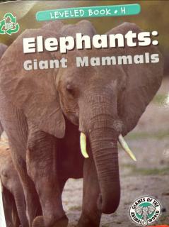 raz H22 elephants giant mammals