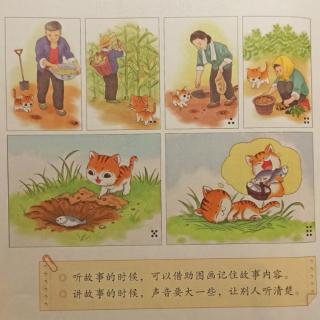 《小猫种鱼》