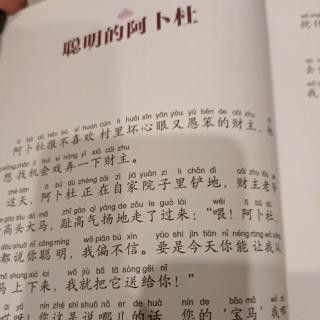 聪明了阿卜杜