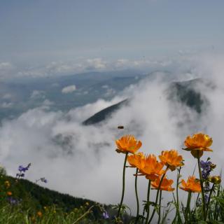 重返雪山44/凌志军