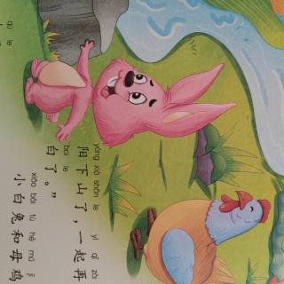 泽馨苑幼儿园晚安故事《冷石头和热石头》