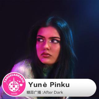 Yunè Pinku·糖蒜爱音乐之After Dark