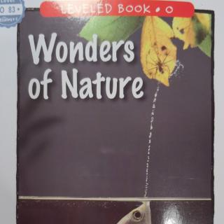 Wonders of nature20230228