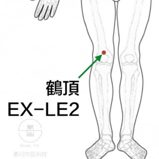 【第二季】屡借屡败的思想误区之为恢复x功能而戒