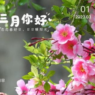 那么多人（钢琴曲）