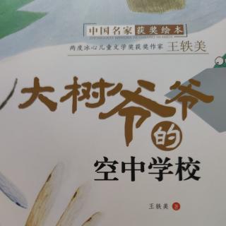 大树爷爷的空中学校