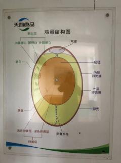 将创造发明导向成功的“正确的地图”