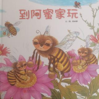 卡蒙加幼教集团卫老师——《到阿蜜家玩》