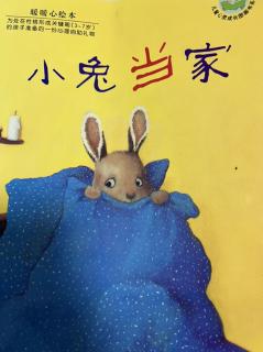 《 小兔🐰当家》