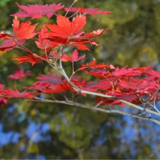 3、提供有价值的服务，转介绍会水到渠成