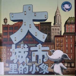 绘本《大城市里的小象》