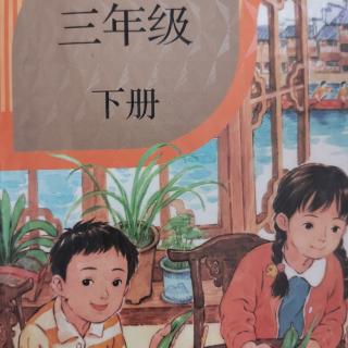 424 《书香家庭，魅力西苑实小》