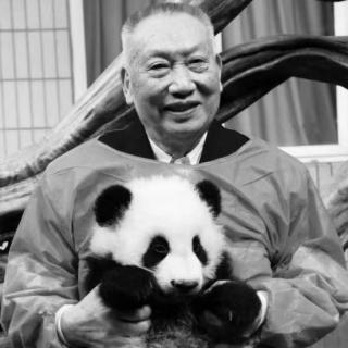 中国大熊猫之父，永远离开了（小耳朵周末新闻角）