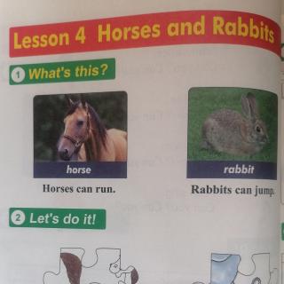 Lesson. 4.    Horses.  and. Rabbits