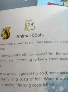 2-28 Animal Coats