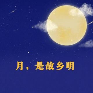 落实“双减”，西小老师带你读《月是故乡明》