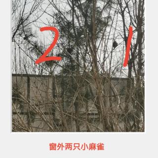 《王阳明知行合一 10学琴故事》拆合思维模式分享