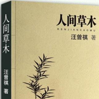 《人间草木》花园3