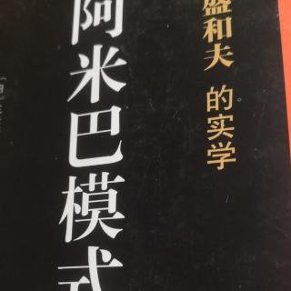 阿米巴模式14-18