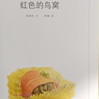 《红色的鸟窝》——芒果姐姐