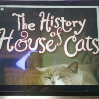 The History of House Cats