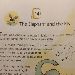Angela 20230307 May The elephant and the fly 14