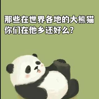 那些在世界各地的大熊猫，你在他乡还好么？