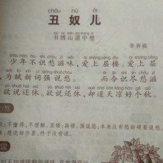 《丑奴儿》书博山道中壁，宋辛弃疾