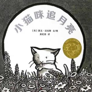 第854夜《小猫咪追月亮》小童